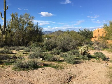 Views North