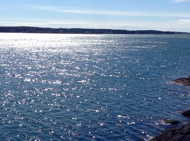 Open Water