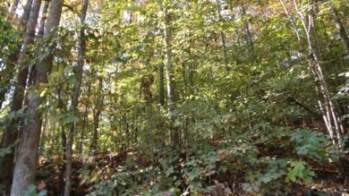 0 Moss Arcot Rd, Celina, TN 38551 - photo 5