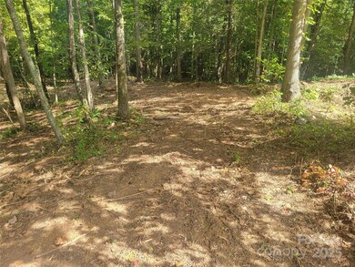 00 Bradford Park unit 10, Clyde, NC 28721 - photo 6