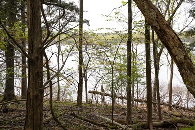 Table Rock Waterfront