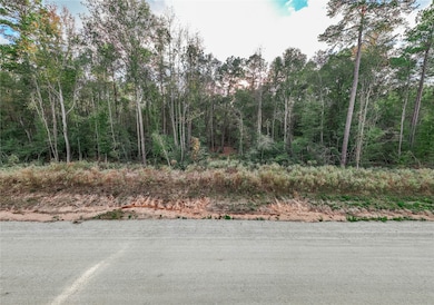 134 Splendid Rd, New Waverly, TX 77358 - photo 5