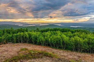 0 Long Stack Ln unit 16, Wolfeboro, NH 03894 - photo 2