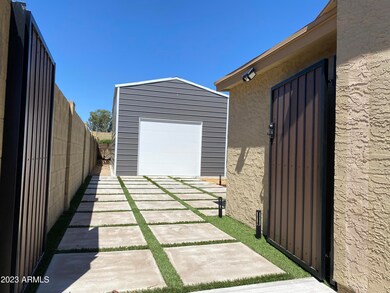 IMG_4561side yard