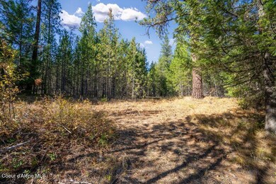 Lot 3 Amaze Way, Athol, ID 83801 - photo 6