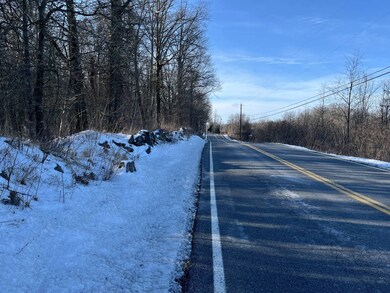 000 Orchard Dr, Wallkill, NY 12589 - photo 5