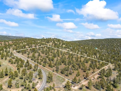 2-web-or-mls-01 - Lot line