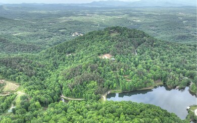 Additional View