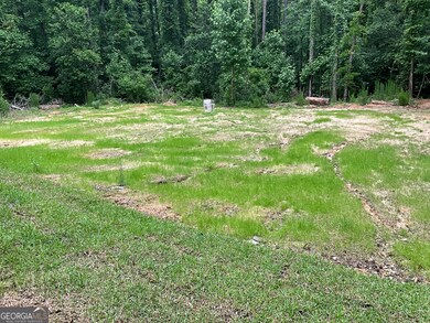 320 Adams Ave, Batesburg-Leesville, SC 29006 - photo 5