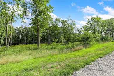 Lot 87 Restore Ridge, Harrison, AR 72601 - photo 4