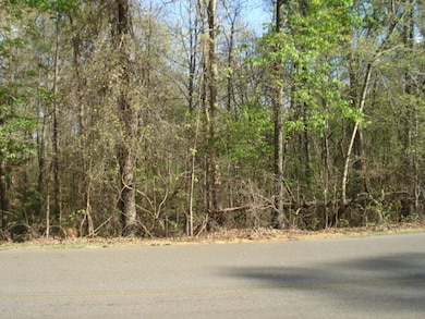 229 Sandpiper Point, Counce, TN 38326 - photo 2