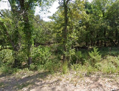 View of local wilderness