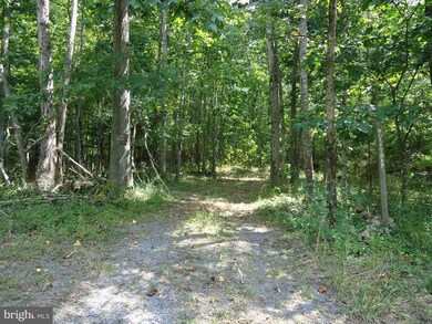 0 Moreland Gap Rd unit 1000122247, New Market, VA 22844 - photo 2