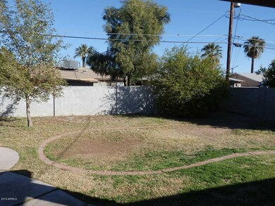 Back Yard (1)
