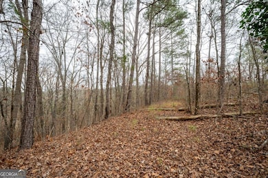 0 Marlene Dr NE unit 10656253, Rome, GA 30165 - photo 6