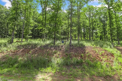 Lot 23 Restore Ridge, Harrison, AR 72601 - photo 2