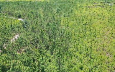 0 County Line & Prine unit 129261, Lee, FL 32059 - photo 3