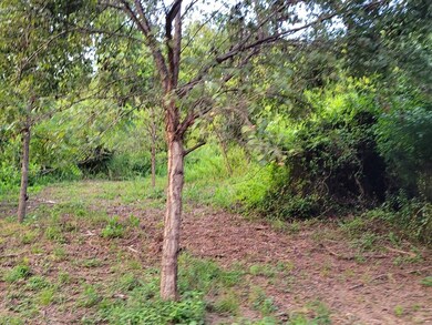 930 Thinwood Dr, Newport, TN 37821 - photo 4