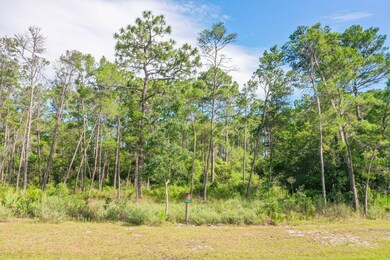 1412 Turtleback Trail