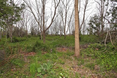 37 Grandview Ave, Fairhaven, MA 02719 - photo 4