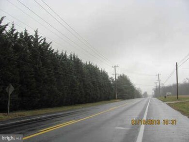 24435 Chestertown Rd, Chestertown, MD 21620 - photo 5