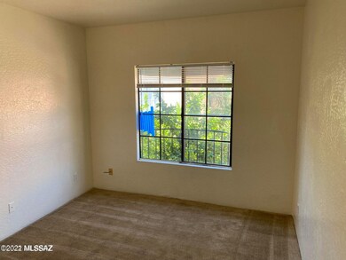 254 E Pastime Rd, Tucson, AZ 85705 - photo 7