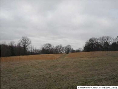 200 Ranch Rd, Hernando, MS 38632 - photo 2