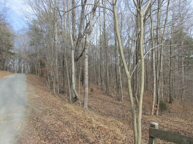 View of road side
