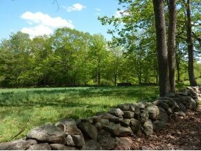 651 E Deering Rd, Deering, NH 03244 - photo 4