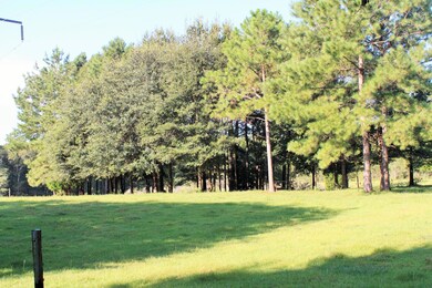 172 Poney Ln S, Lucedale, MS 39452 - photo 7