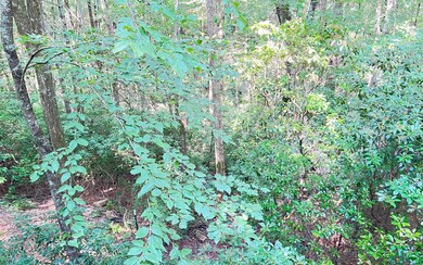 Additional View