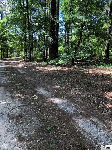 0 Claiborne Rd, Calhoun, LA 71225 - photo 6