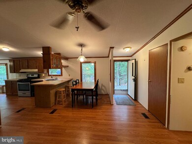 193 Bandit Bend, Maysville, WV 26833 - photo 5