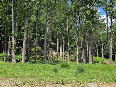 2 Cave Creek Rd, Falls of Rough, KY 40119 - photo 4