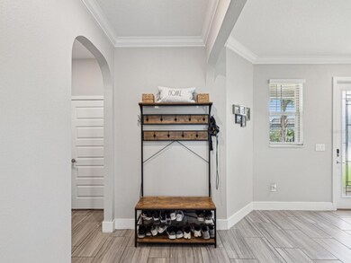 8630 Campus Woods Way, Trinity, FL 34655 - photo 5