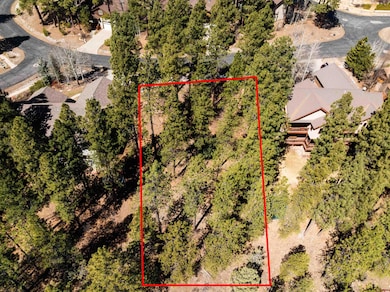 143 El Diente Dr, Durango, CO 81301 - photo 4