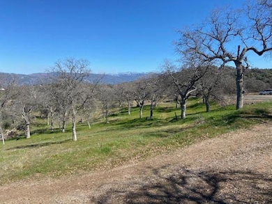 0 Apn 190-160-05s unit 235517, Squaw Valley, CA 93675 - photo 6