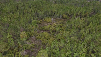 0 Deep Creek Rd, Wiggins, MS 39577 - photo 2