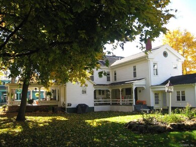 Backyard / Porches