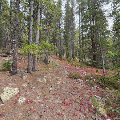 5347 Monitor Lode Claims, Leadville, CO 80461 - photo 5