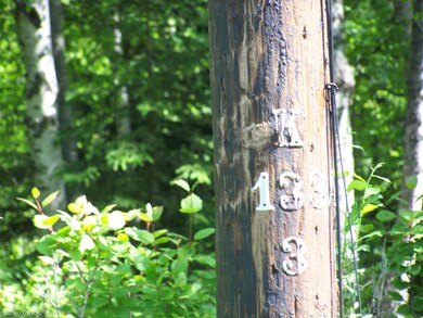 Power Pole near lot corner