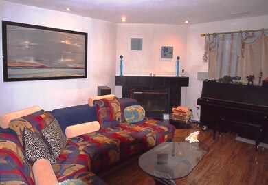 (4) Family Room With Wood Burning Fire
