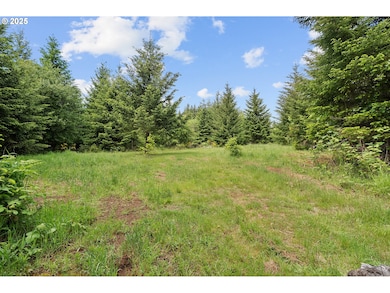 0 NW Pumpkin Ridge Rd, Northplains, OR 97133 - photo 6