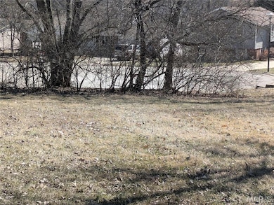 416 Horstmeier Trail, St. Peters, MO 63376 - photo 5