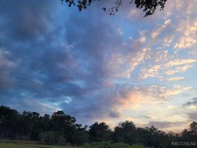 0 Octavia Ln unit 850173, Webster, FL 33597 - photo 3