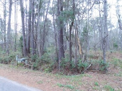 Lot 5 Gray Mans Loop, Pawleys Island, SC 29585 - photo 7