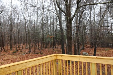OUT BACK 2A