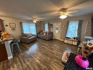 311 N Sherman St, Lincoln, IL 62656 - photo 4