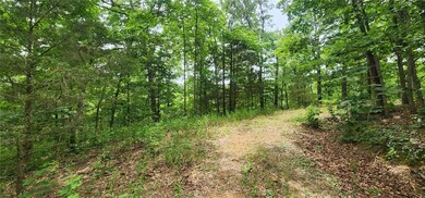 Lots 2 & 3 Foshee Ln, Bella Vista, AR 72715 - photo 4
