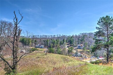 19 Magnolia Farms Dr unit 3, Asheville, NC 28806 - photo 6